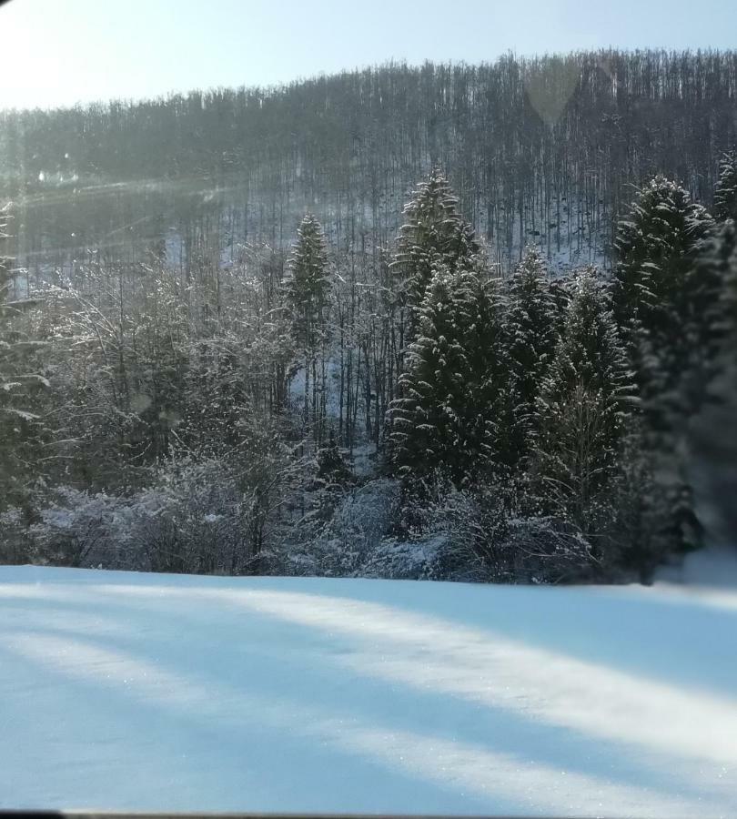 Vrata Pri Cepovanu Villa Kültér fotó